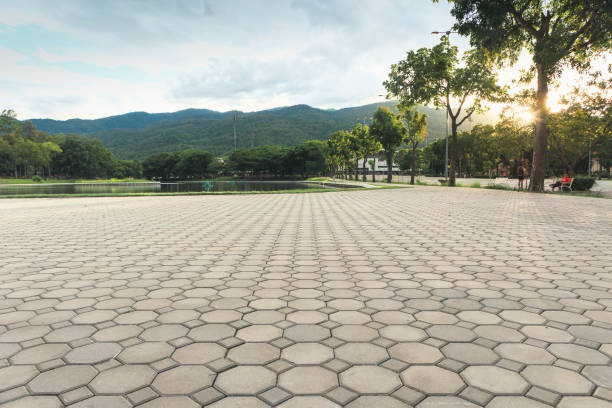 Best Residential Paver Driveway  in Charleston, IL